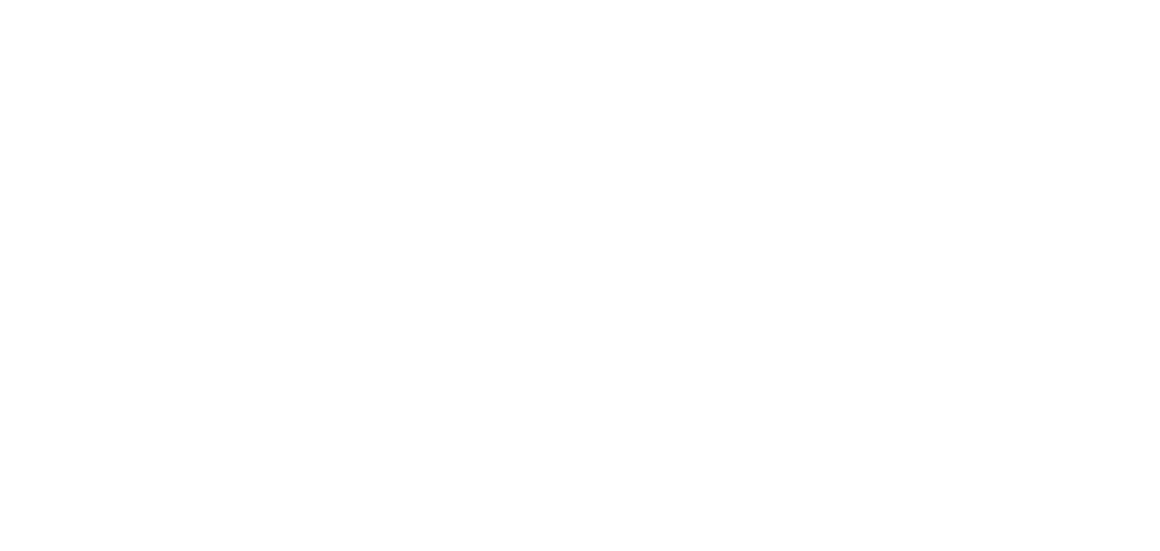 G&N Group