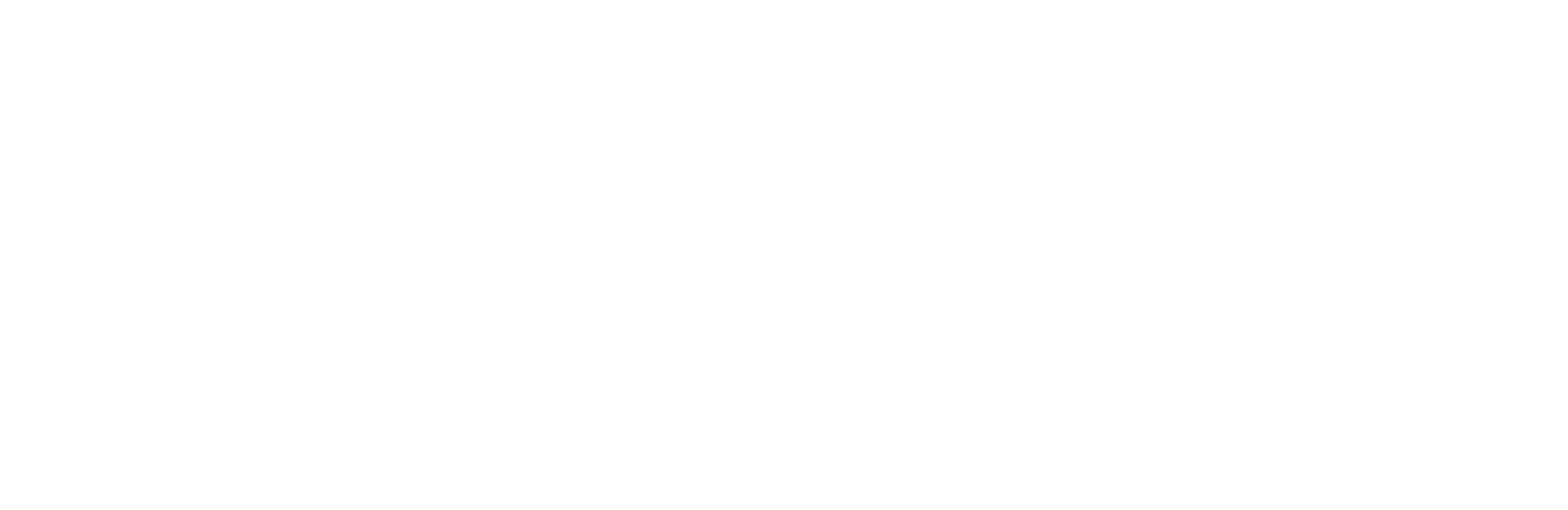 ZIM Aircraft Seating